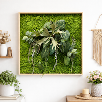 Tableau végétal Bacopa 70x70cm