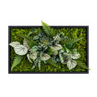 Tableau végétal Festuca 78x52cm