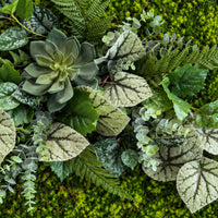 Tableau végétal Festuca 78x52cm