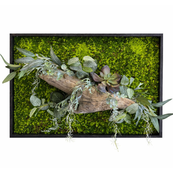 Tableau végétal Passiflore 70x52cm