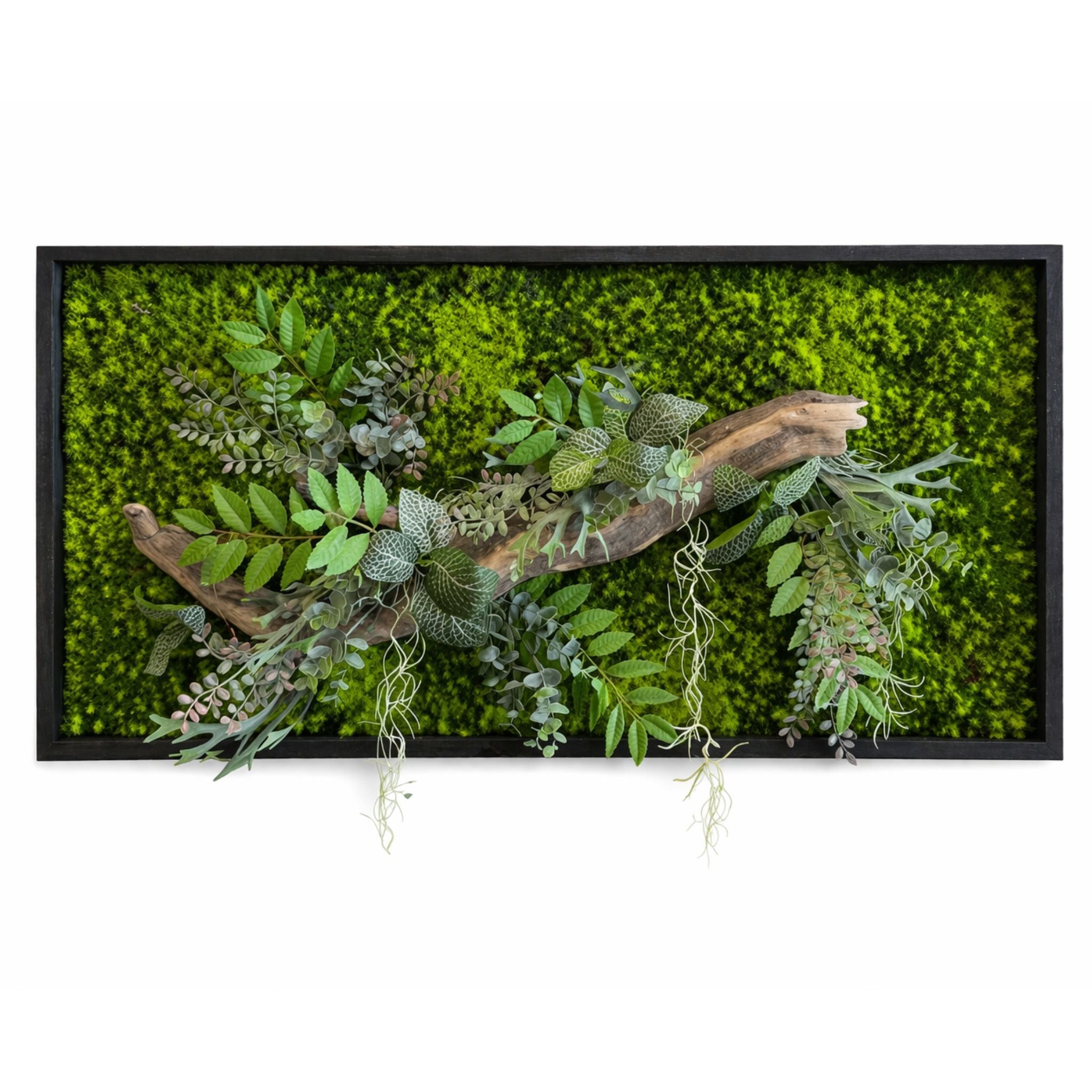 Tableau végétal Celosie 80x40cm