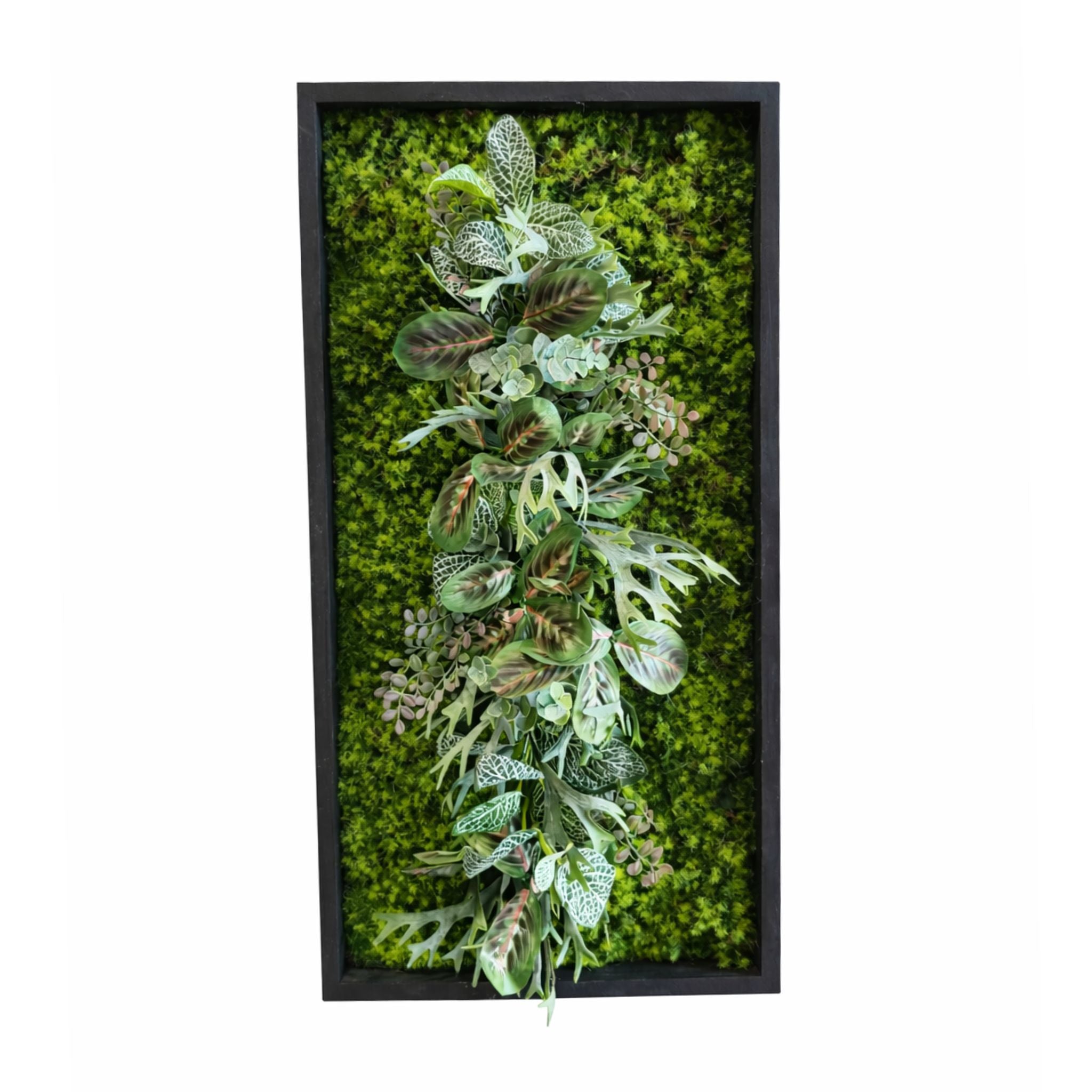 Tableau végétal Astilbe 60x30cm