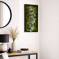 Tableau végétal Astilbe 60x30cm