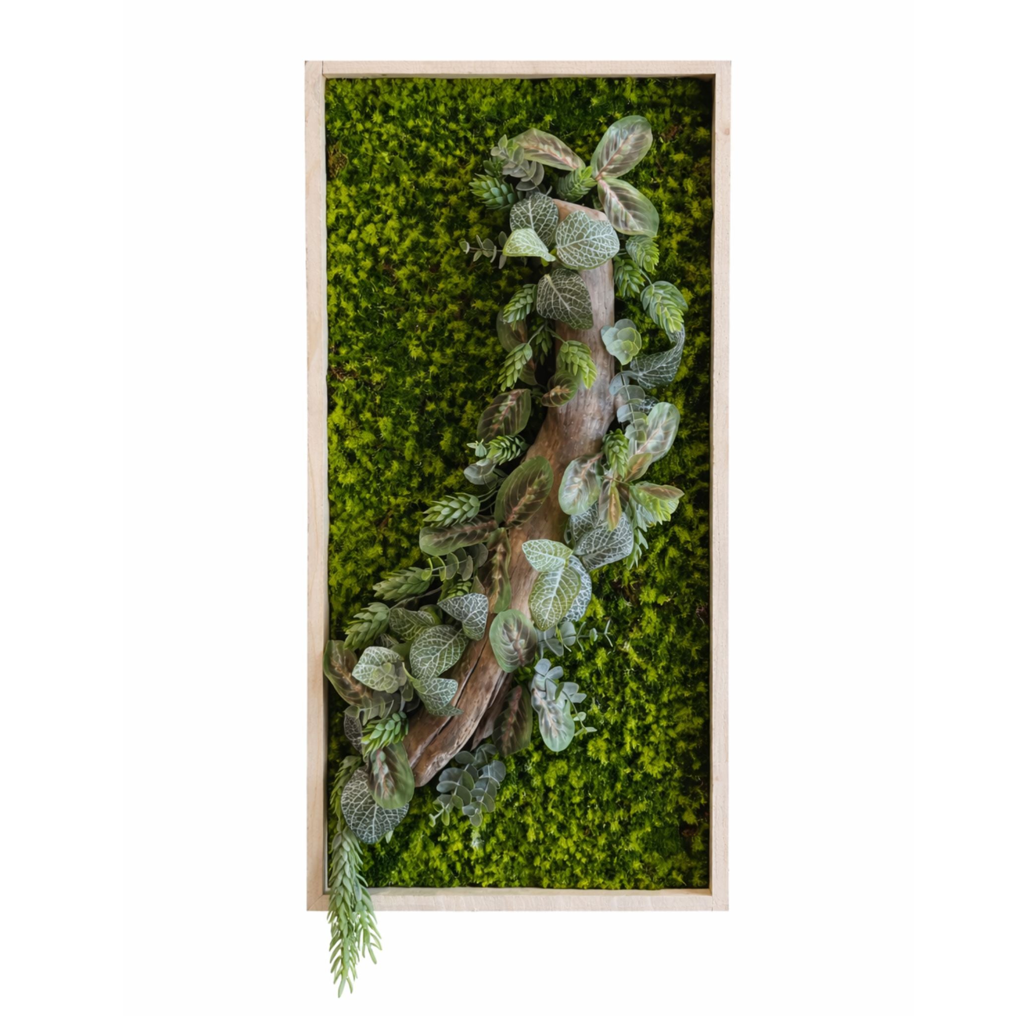 Tableau végétal Heuchère 60x30cm