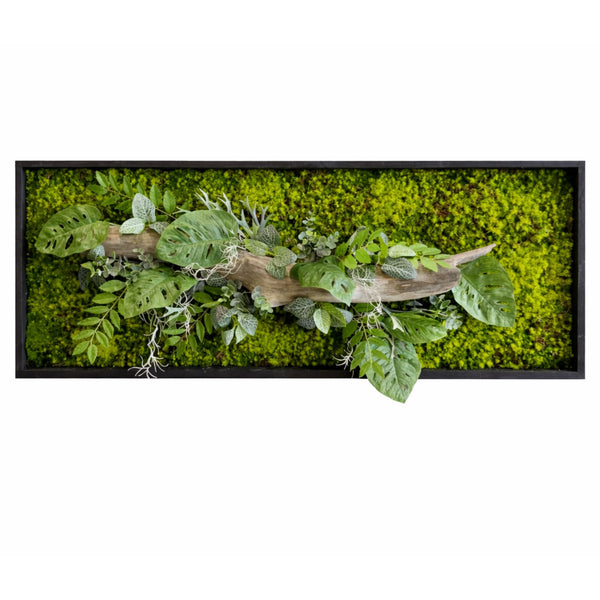 Tableau végétal Clématite 100x40cm