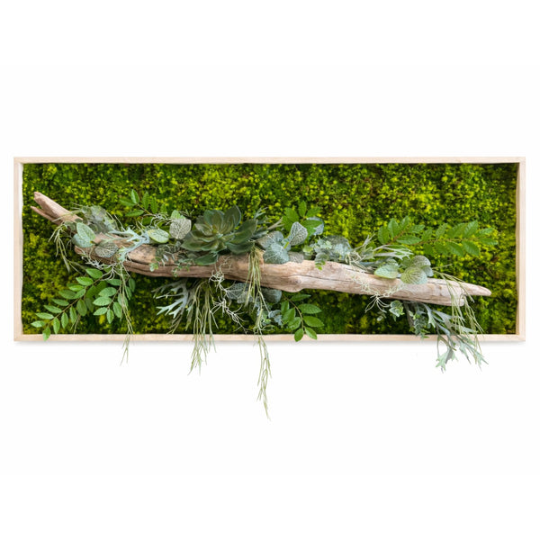 Tableau végétal Limonium 100x40cm