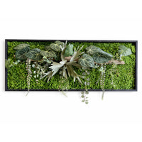 Tableau végétal Asther 100 x 40cm