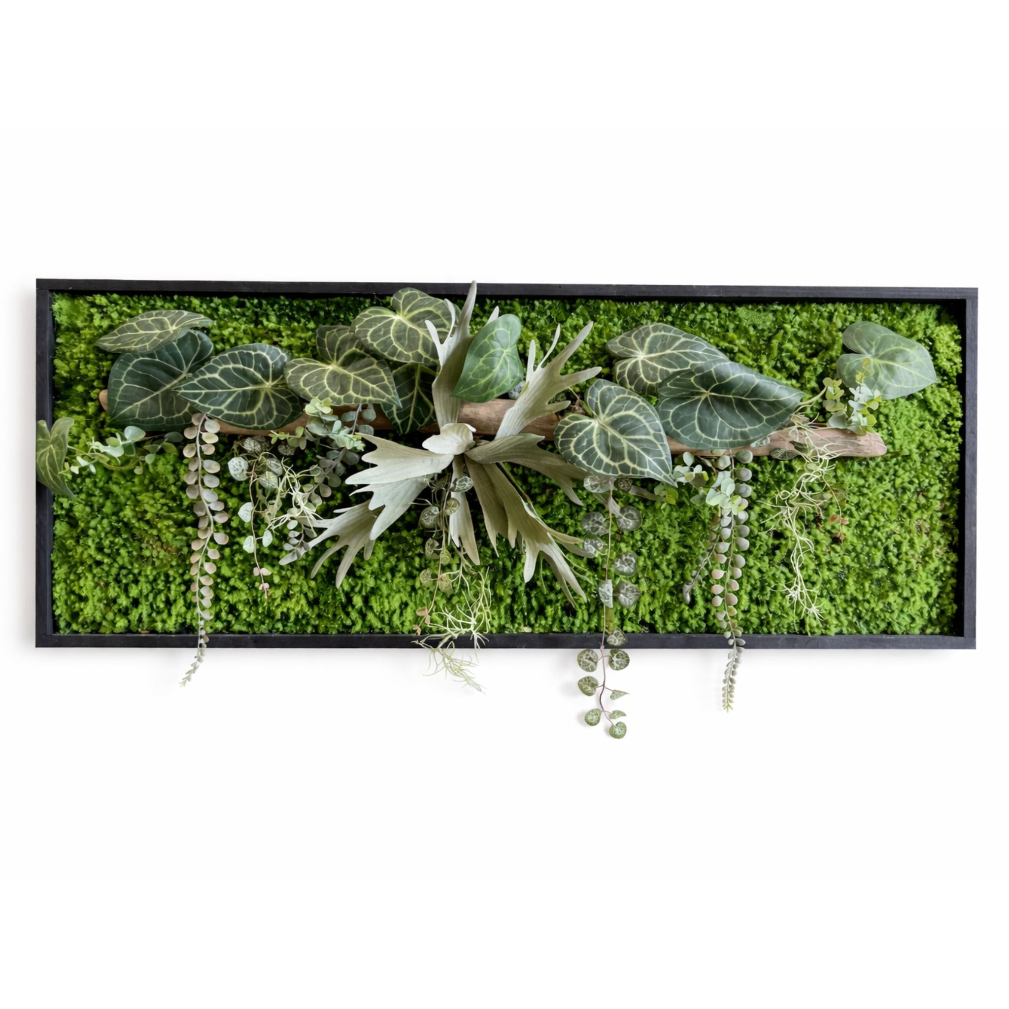 Tableau végétal Asther 100 x 40cm