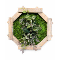 Tableau végétal Bidens 57x57cm