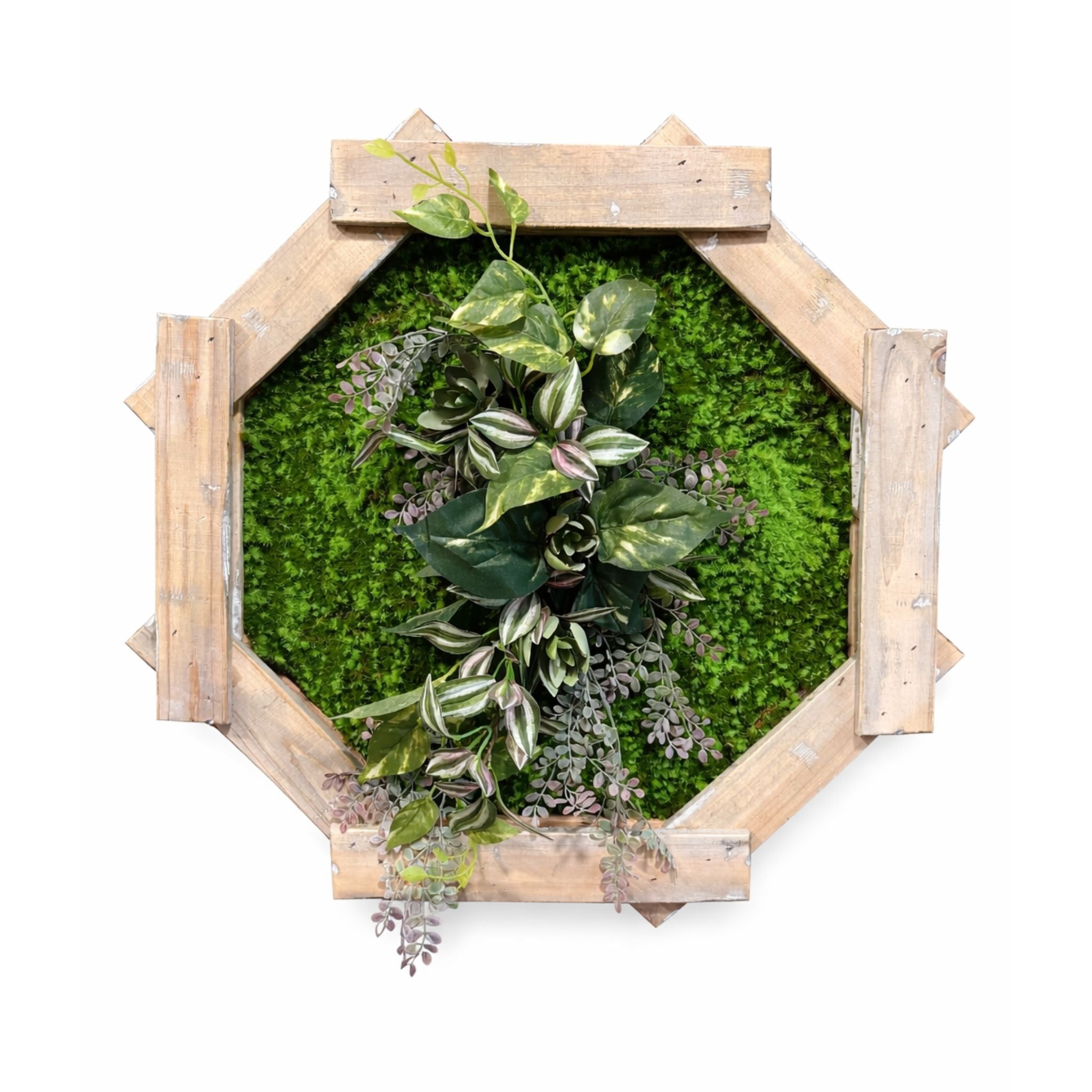 Tableau végétal Bidens 57x57cm