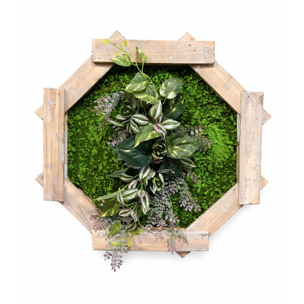 Tableau végétal Bidens 57x57cm