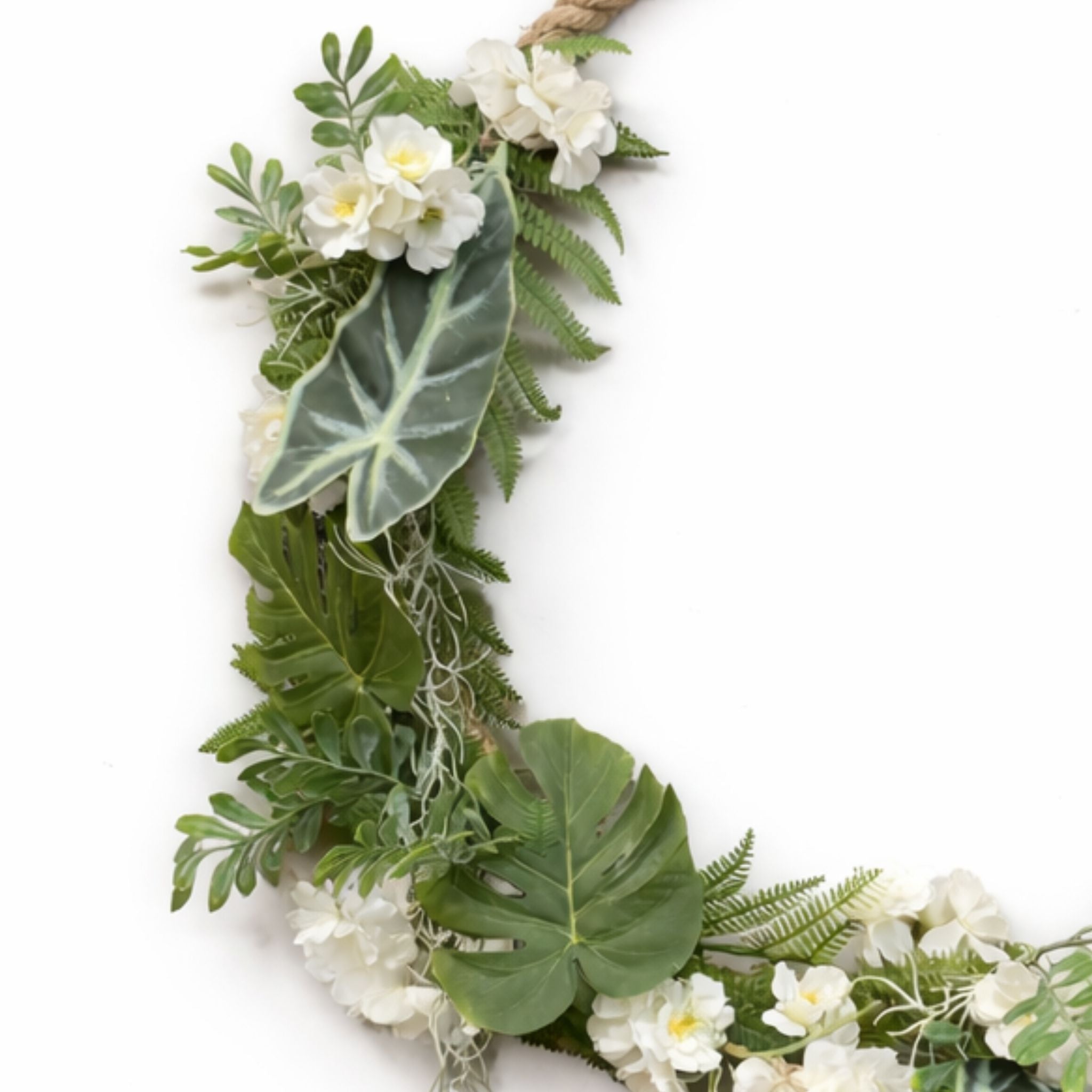 Anneau végétal Crassula 60cm