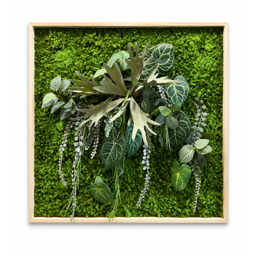 Tableau végétal Bacopa 70x70cm