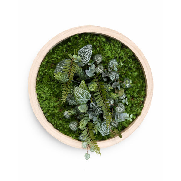 Tableau végétal Nepeta 35cm
