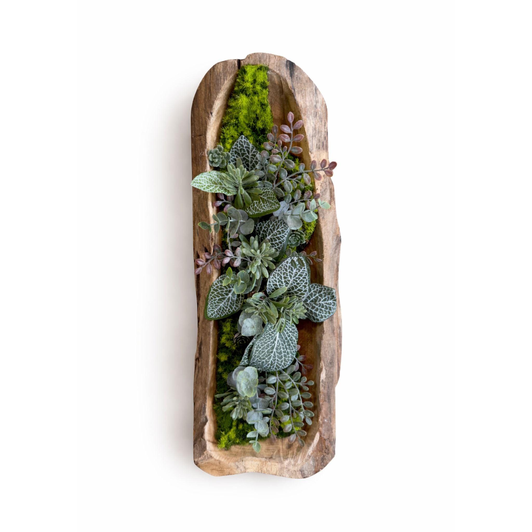 Tableau végétal Salvia 40x16cm