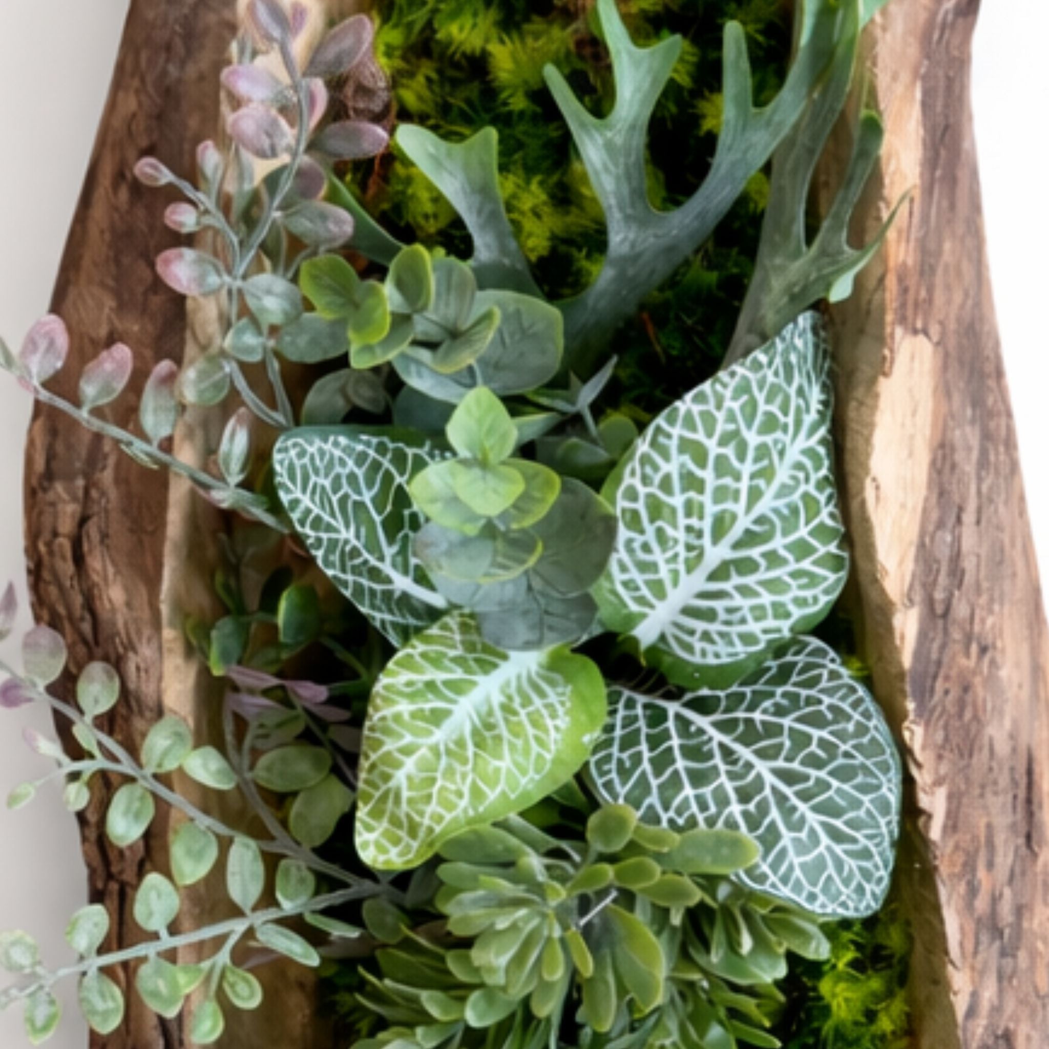 Tableau végétal Osteo 40x17cm