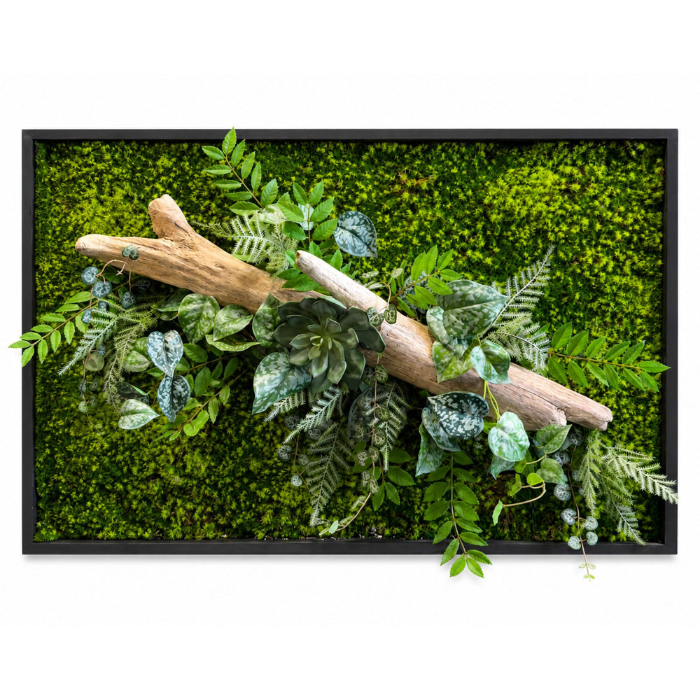 Tableau végétal Passiflore 92x60cm