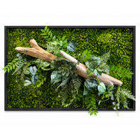 Tableau végétal Passiflore 92x60cm