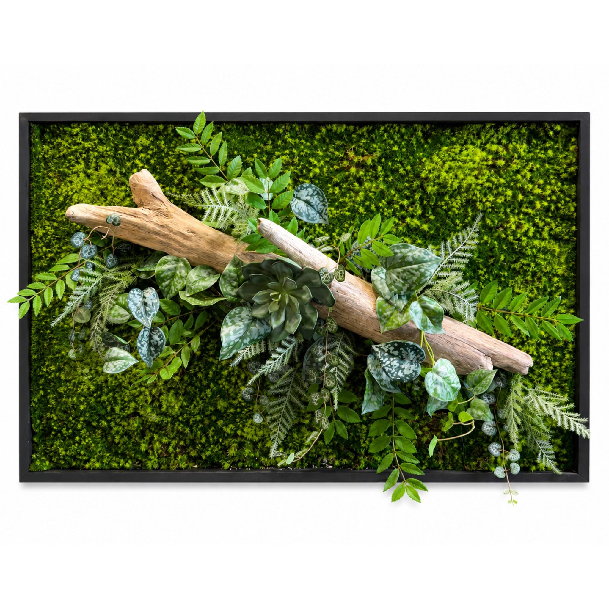 Tableau végétal Passiflore 92x60cm