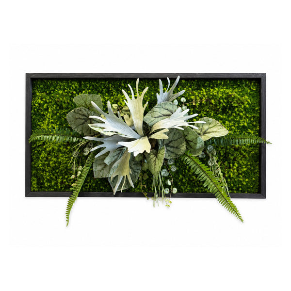Tableau végétal Clématite 80x40cm