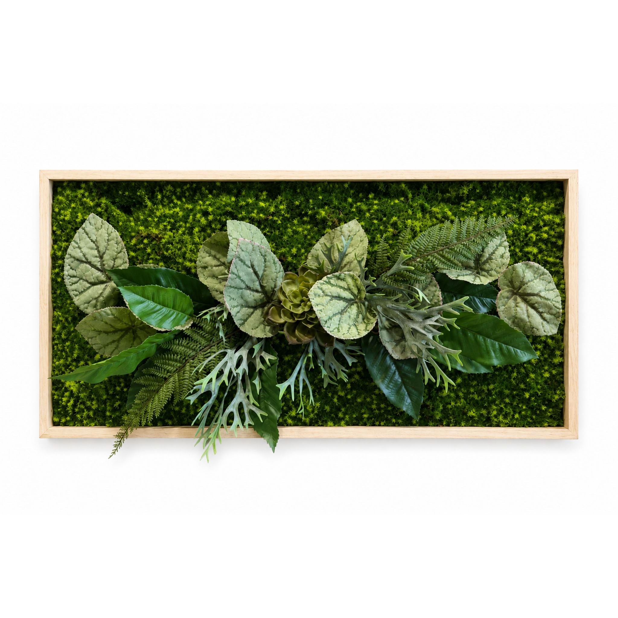 Tableau végétal Jacinthe 80x40cm