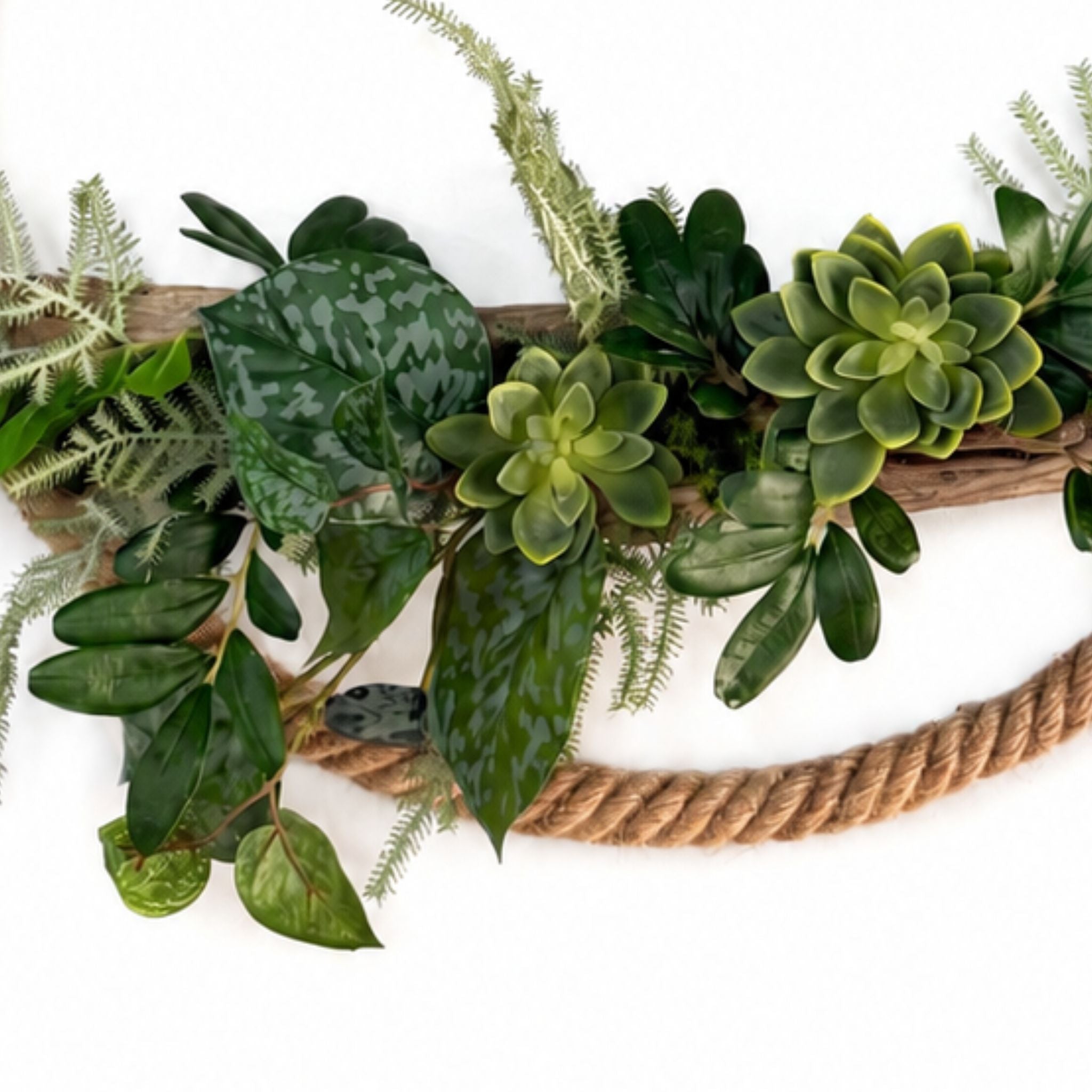 Anneau végétal Edelweiss 50cm