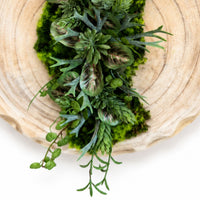Tableau végétal Scabiosa 38cm
