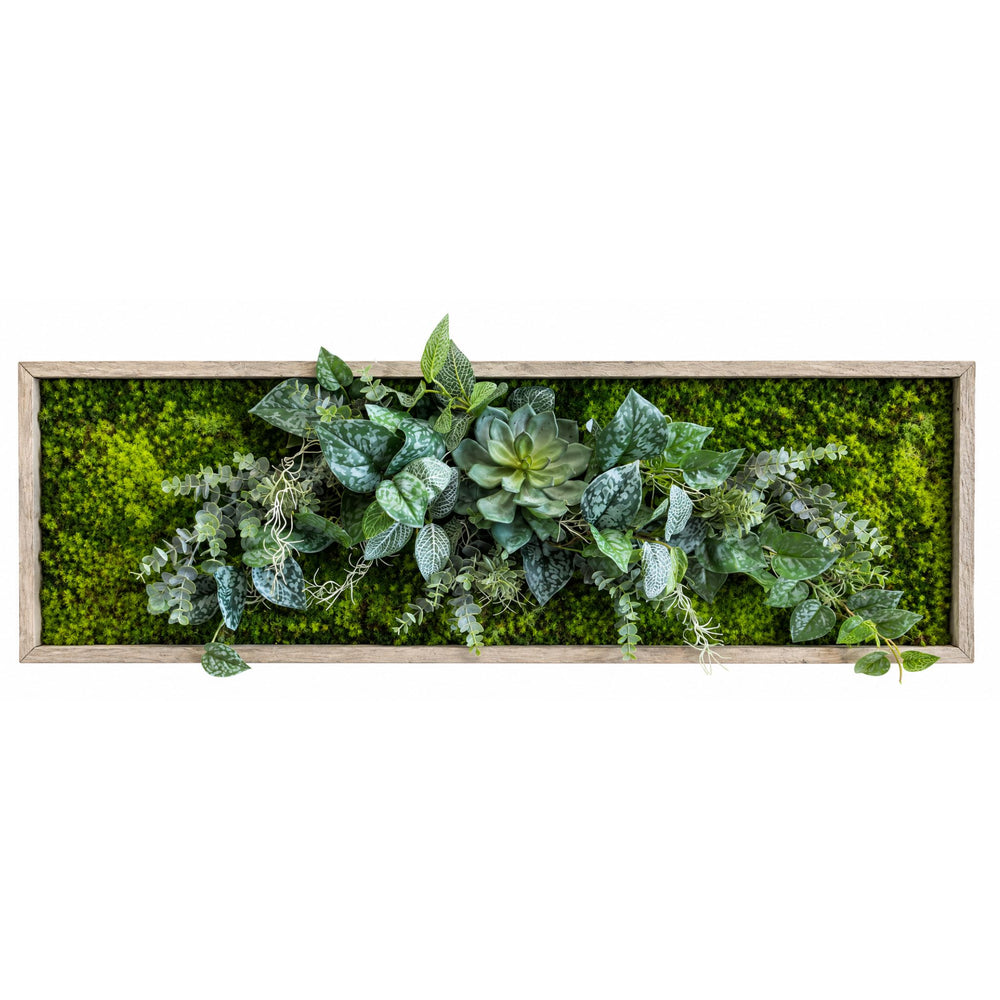 Tableau végétal Dendrobium 100x31.5cm