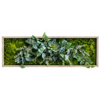 Tableau végétal Dendrobium 100x31.5cm