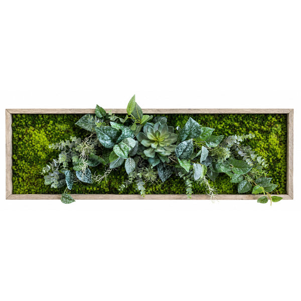 Tableau végétal Dendrobium 100x31.5cm