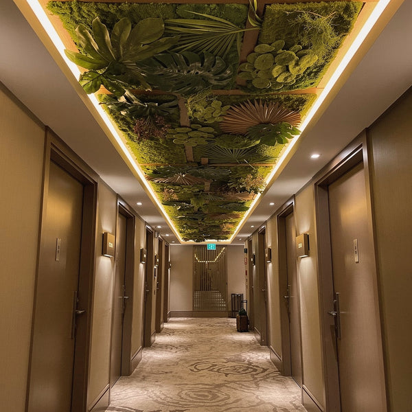 Plafond végétal professionnel | Restaurant, Bureau, Hôtel – Végétal Ardres