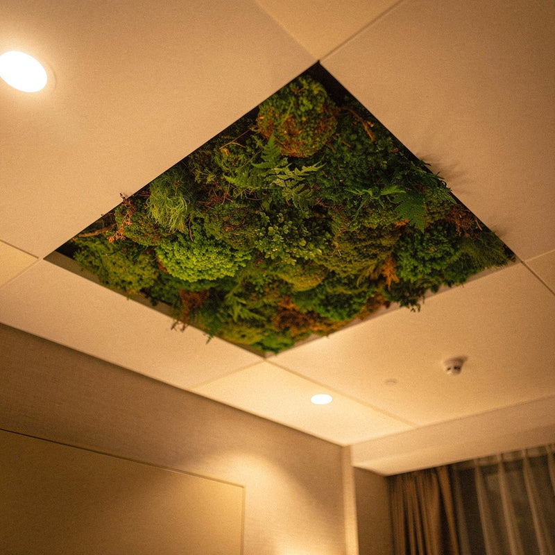 Plafond végétal