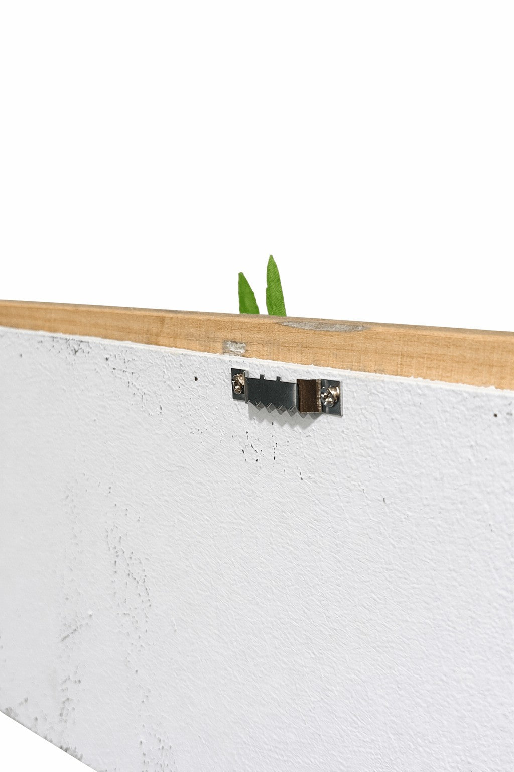 Tableau Végétal Alocasia 53x17cm