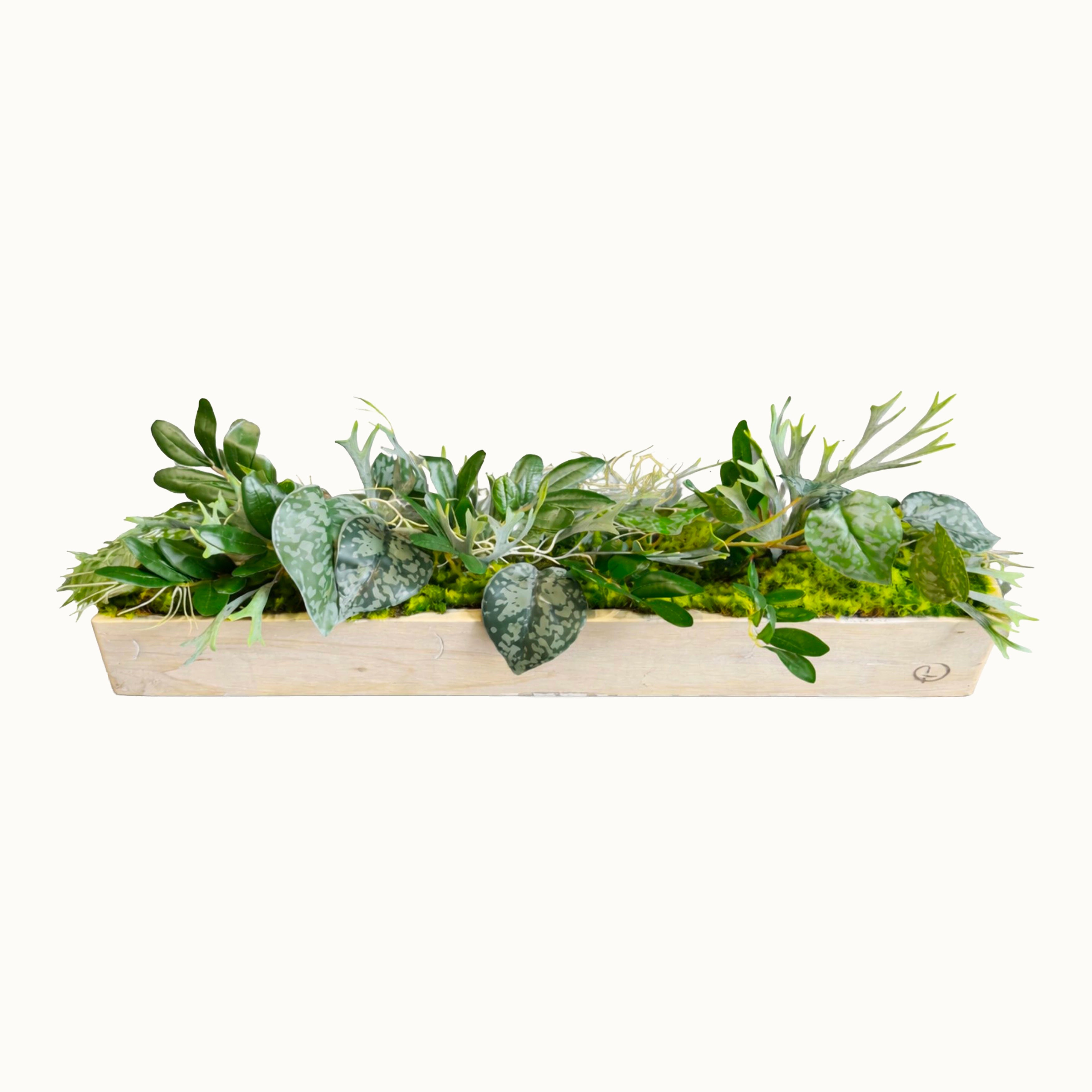 Centre de table Aloes 10x52cm