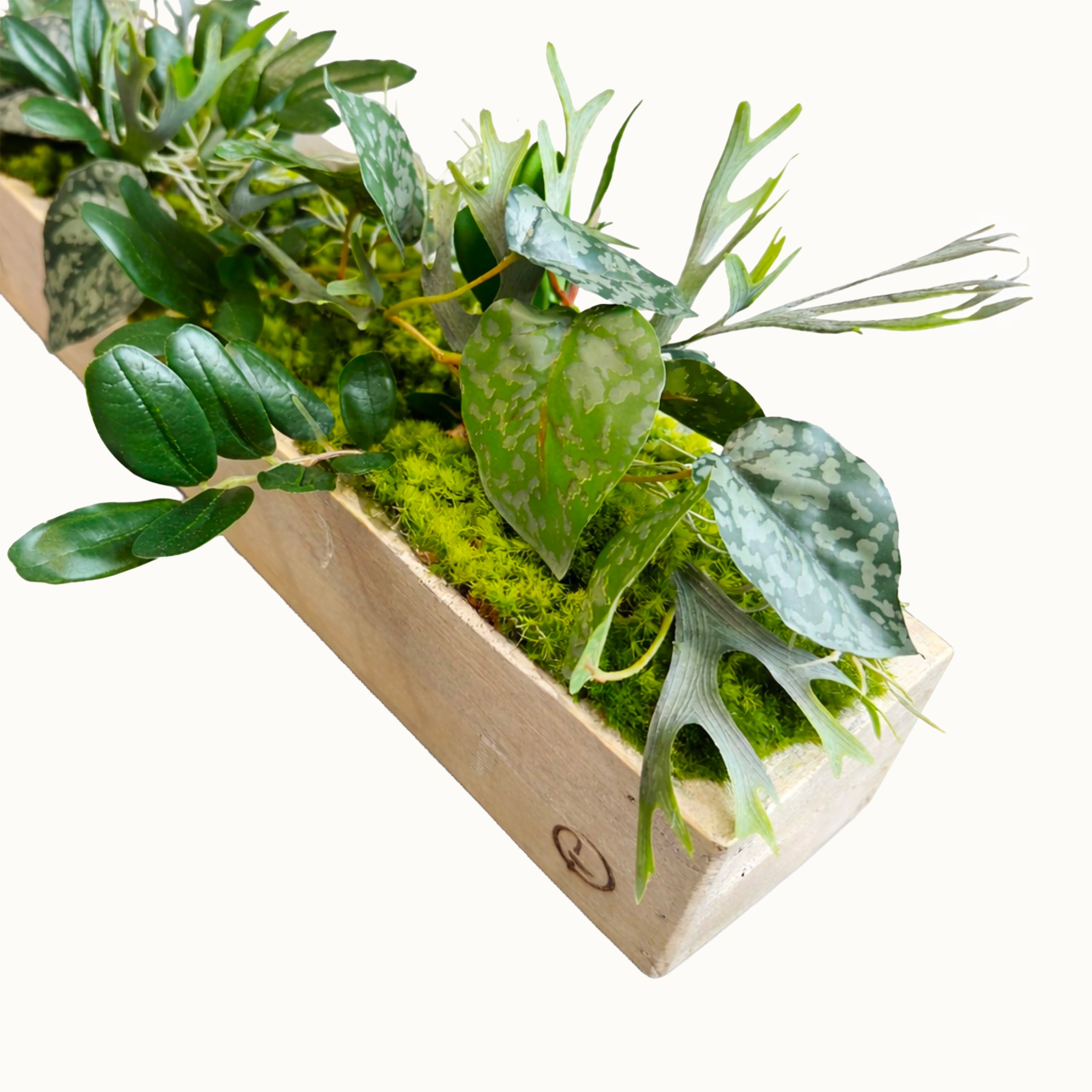 Centre de table Aloes 10x52cm