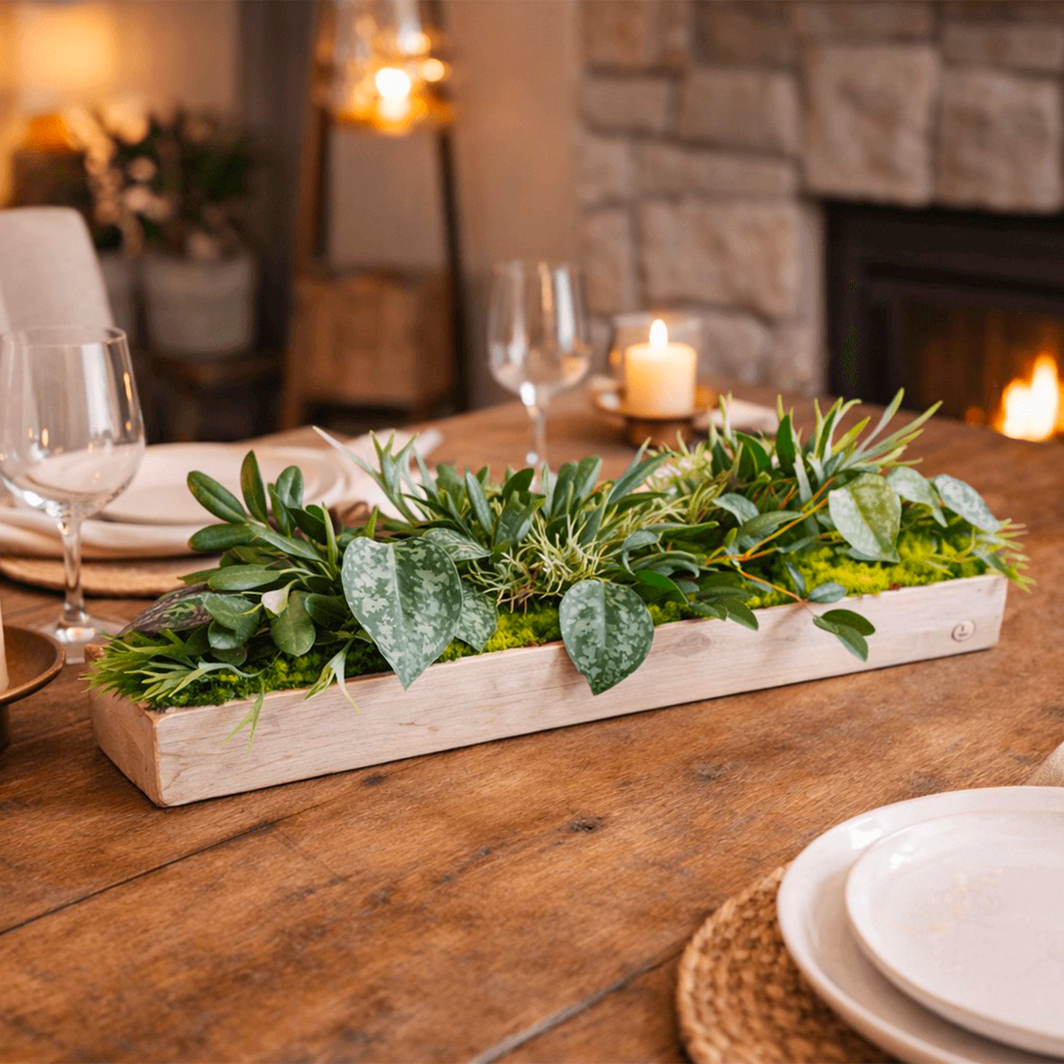 Centre de table Aloes 10x52cm