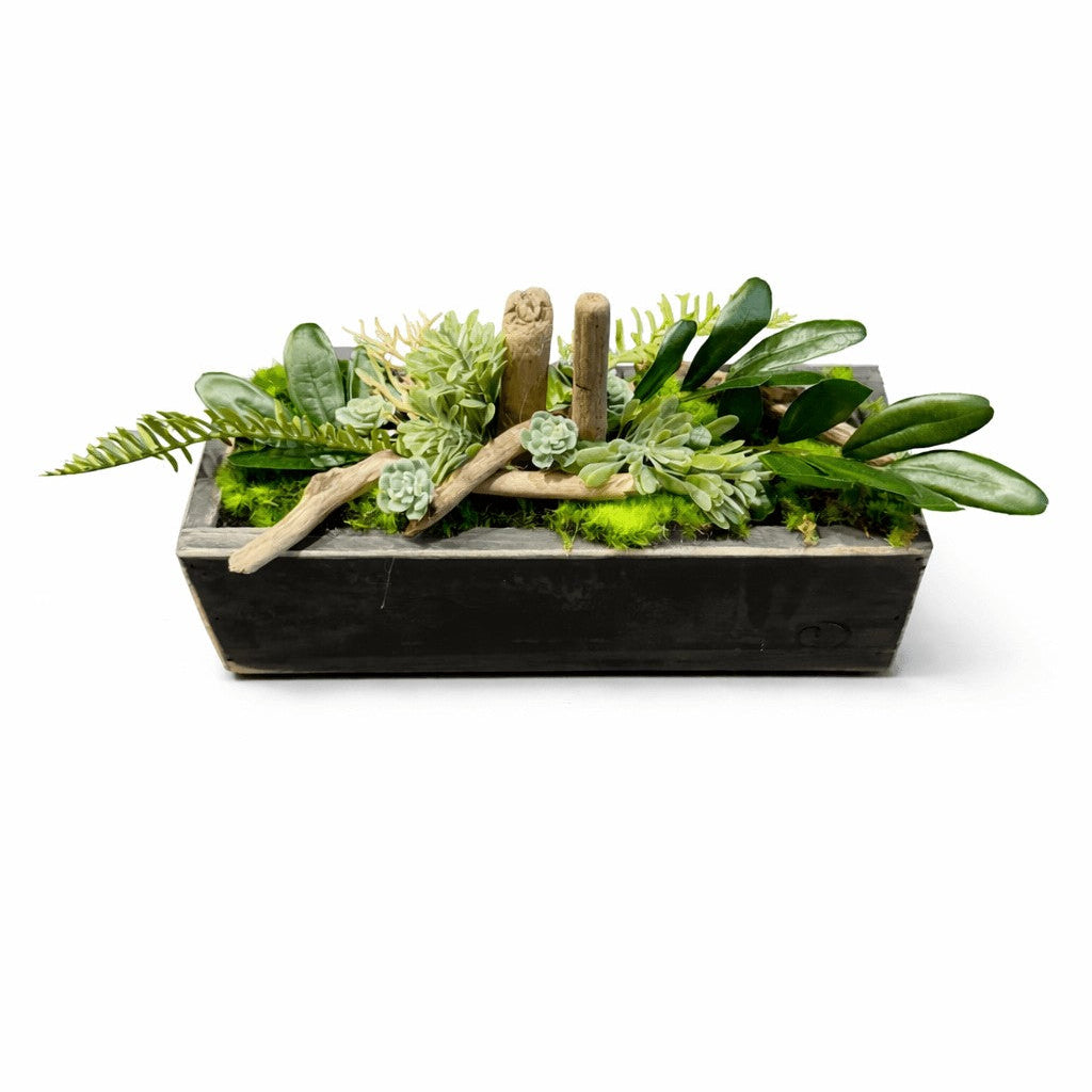 Centre de table Euphorbe 26x10cm