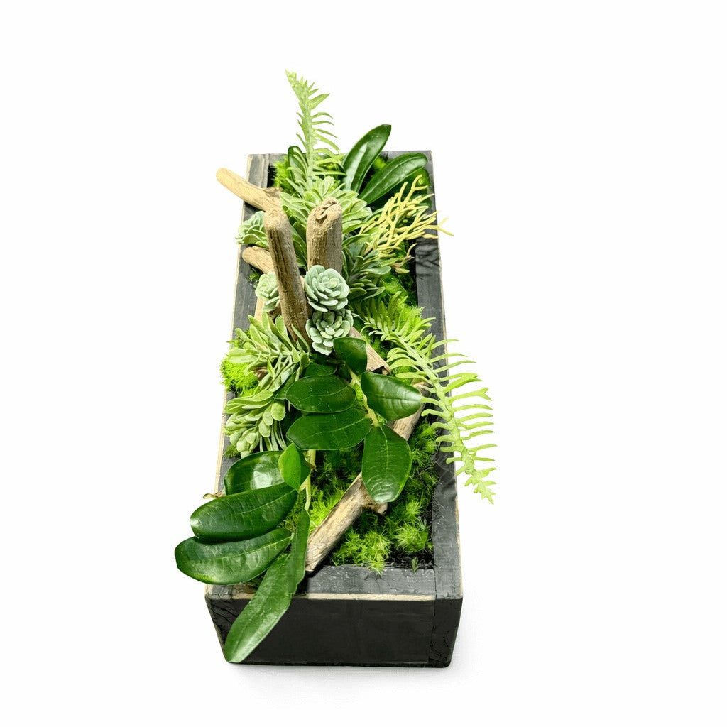 Centre de table Euphorbe 26x10cm