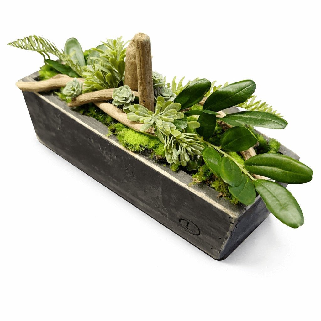 Centre de table Euphorbe 26x10cm