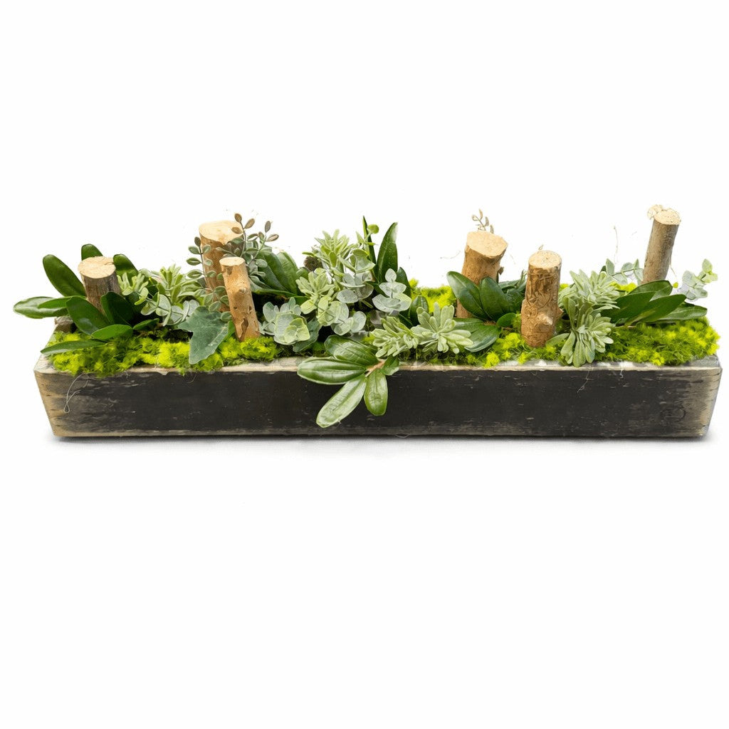 Centre de table Faucaria 10x52cm
