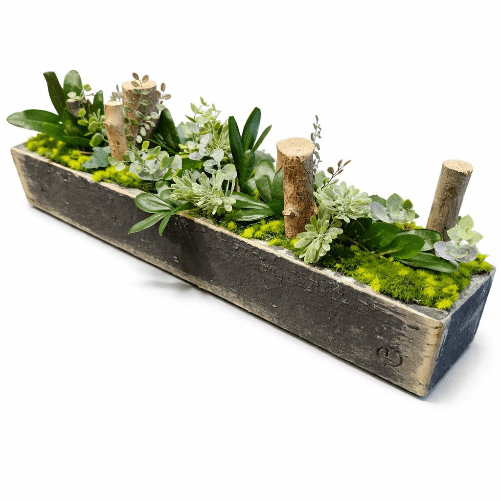 Centre de table Faucaria 10x52cm
