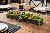 Centre de table Faucaria 10x52cm