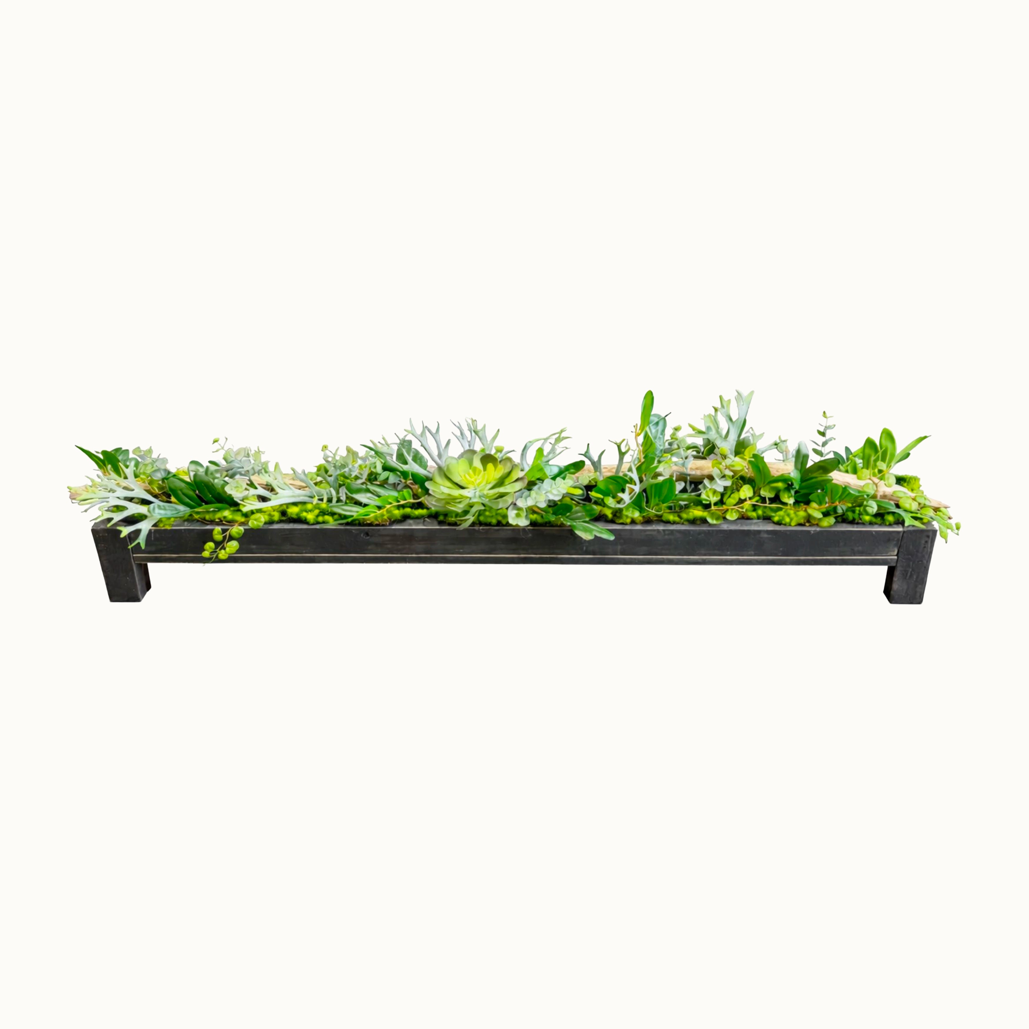 Centre de table Conophytum 95x12cm
