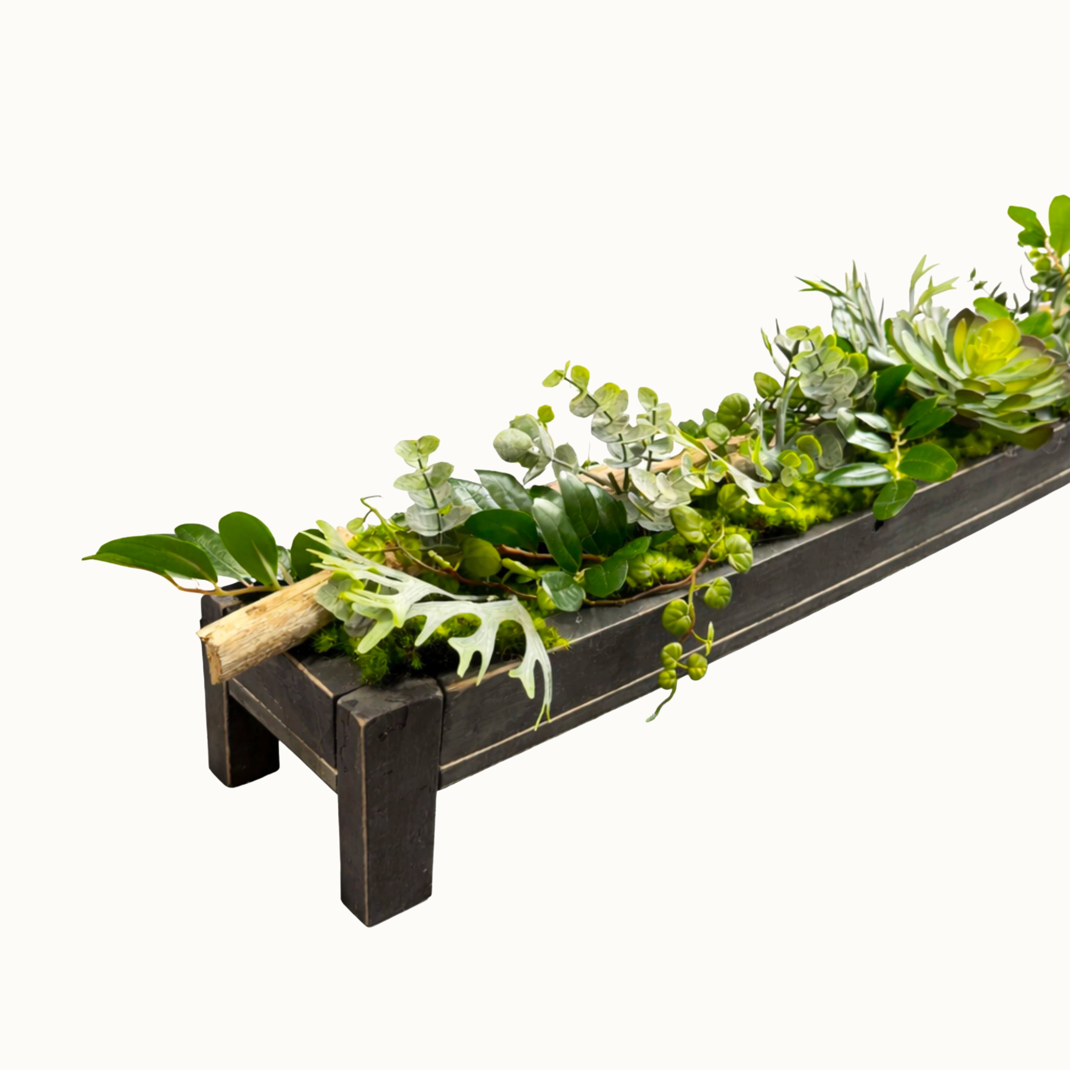 Centre de table Conophytum 95x12cm