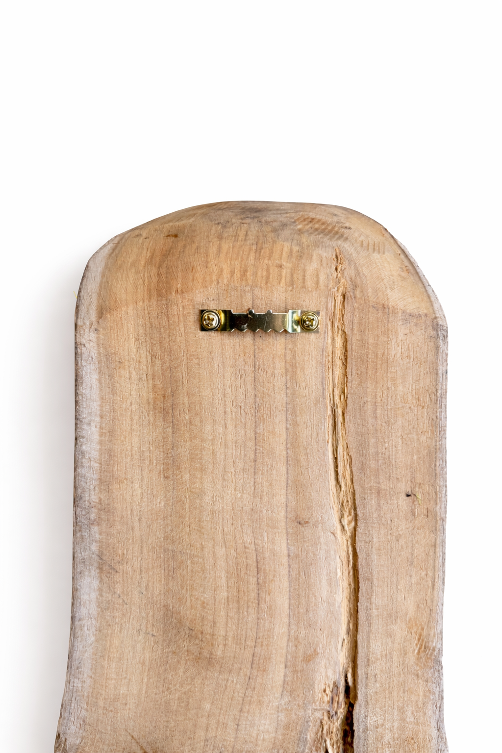 Tableau végétal Salvia 40x16cm
