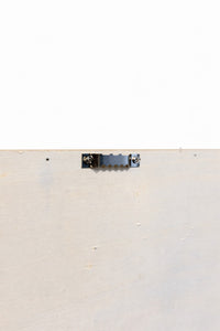 Tableau Végétal Aloe 50x20cm