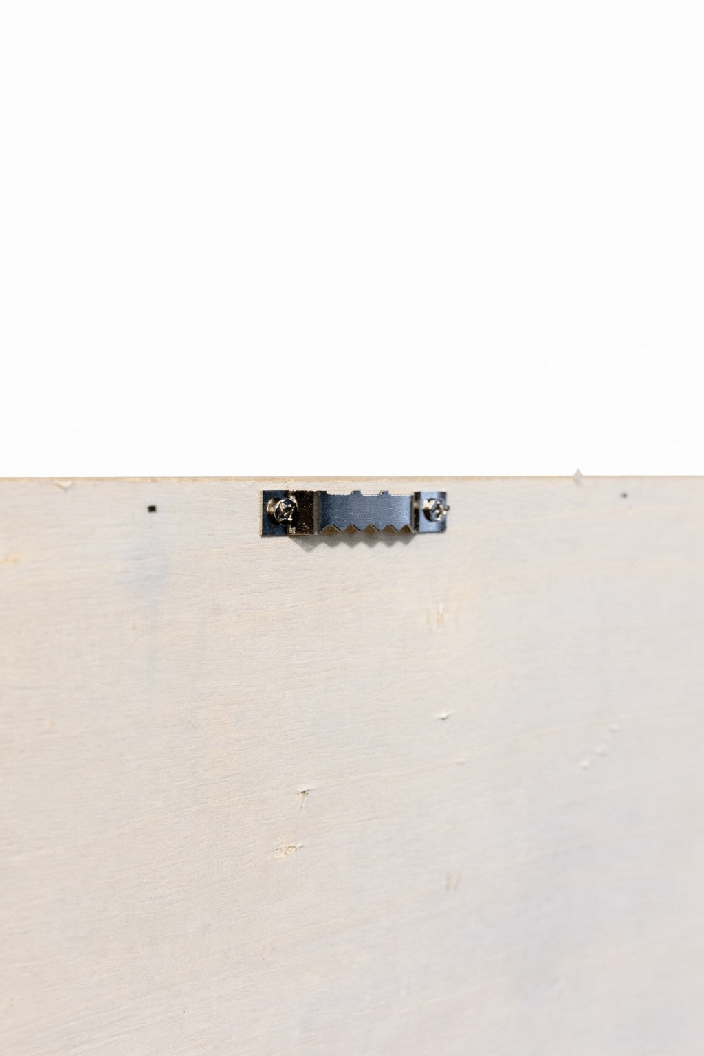 Tableau Végétal Aloe 50x20cm