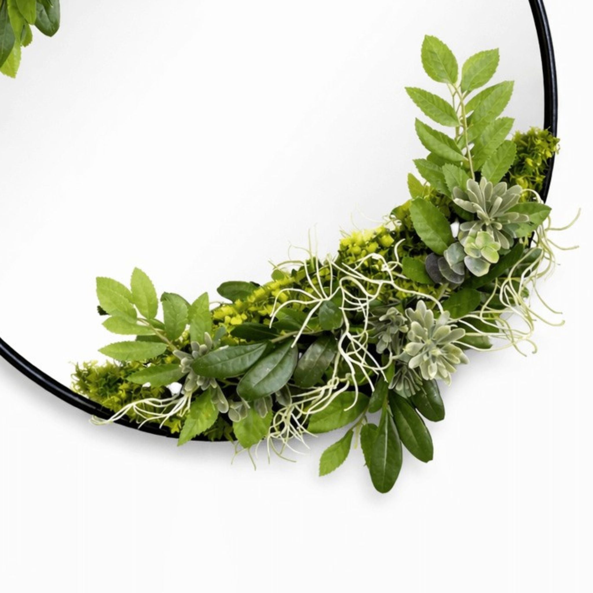 Miroir végétal Bégonia 40cm