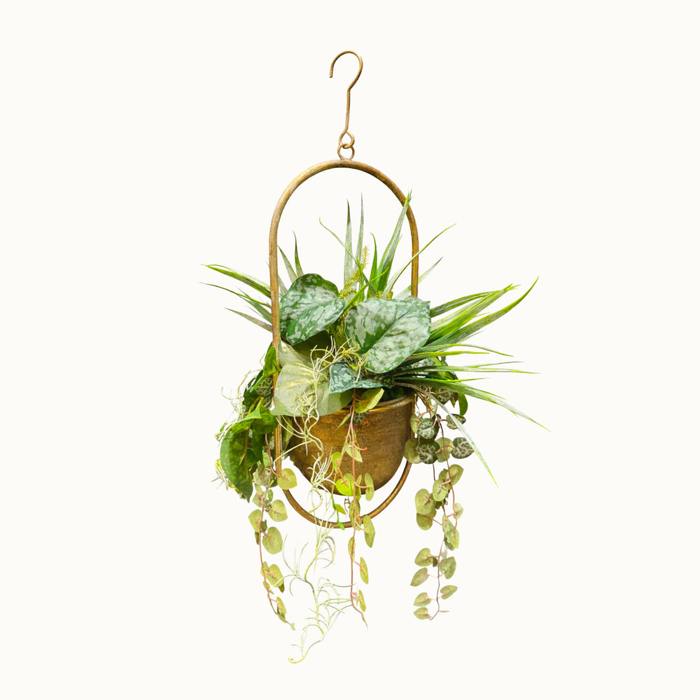 Suspension Végétale Philodendron 52x18cm