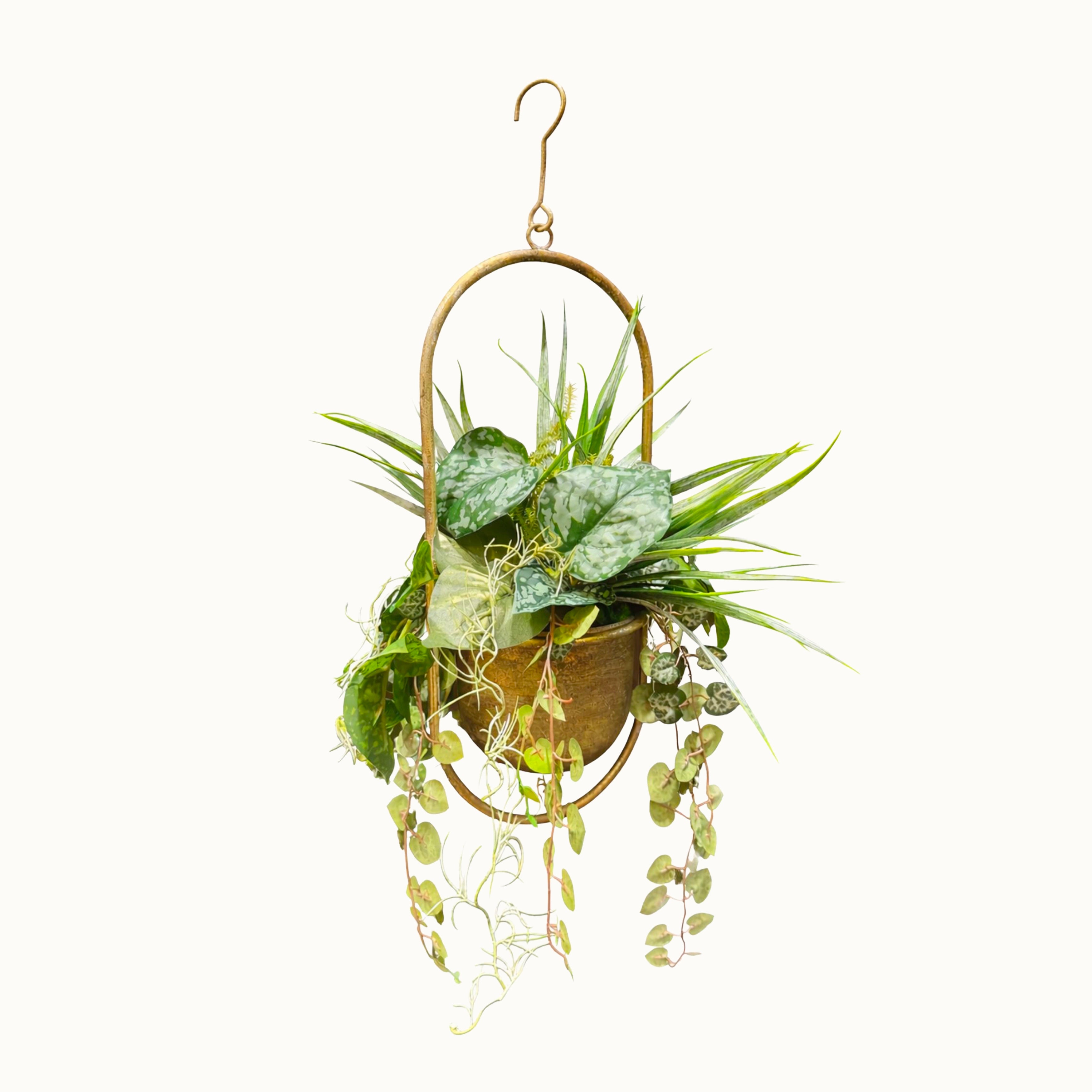 Suspension Végétale Philodendron 52x18cm